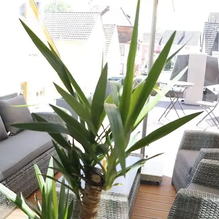 Welcoming Near 度假居 *