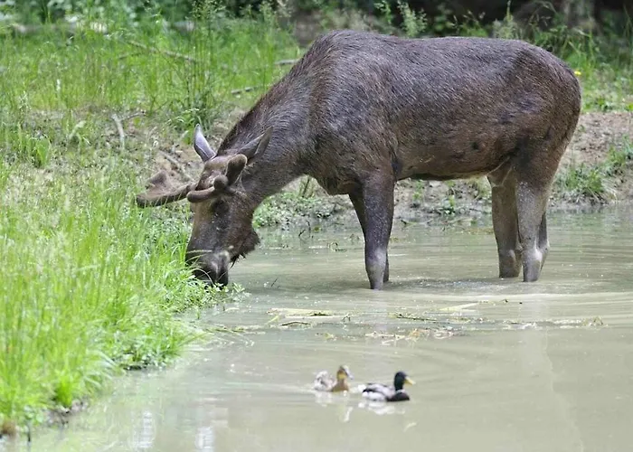 度假居 Welcoming Near